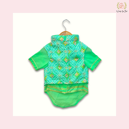 Mint Green Resham Gota Dog Kurta Jacket Set - Indian Dog Ethnic Wear Dress
