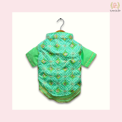 Mint Green Resham Gota Dog Kurta Jacket Set - Indian Dog Ethnic Wear Dress