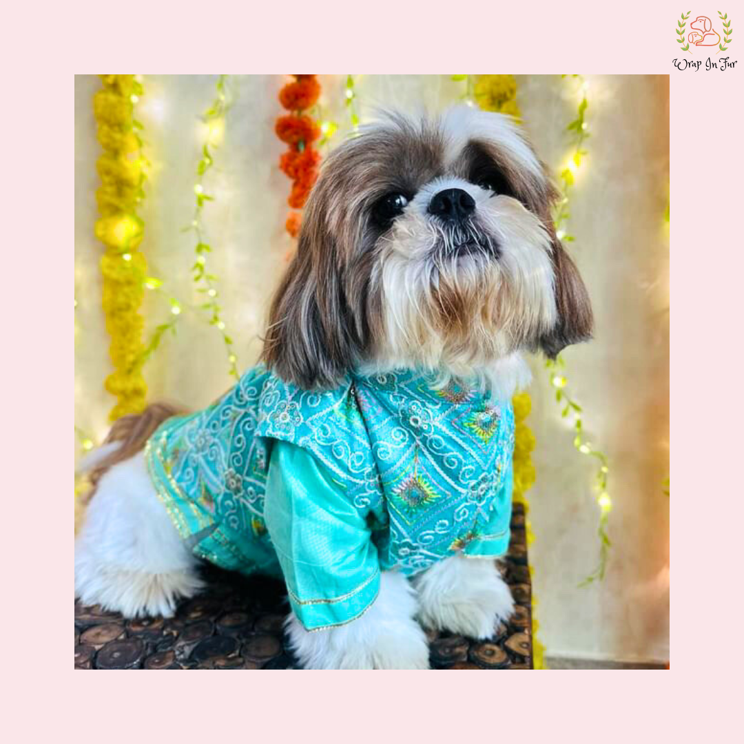 Mint Green Resham Gota Dog Kurta Jacket Set - Indian Dog Ethnic Wear Dress