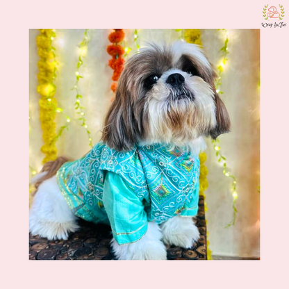 Mint Green Resham Gota Dog Kurta Jacket Set - Indian Dog Ethnic Wear Dress