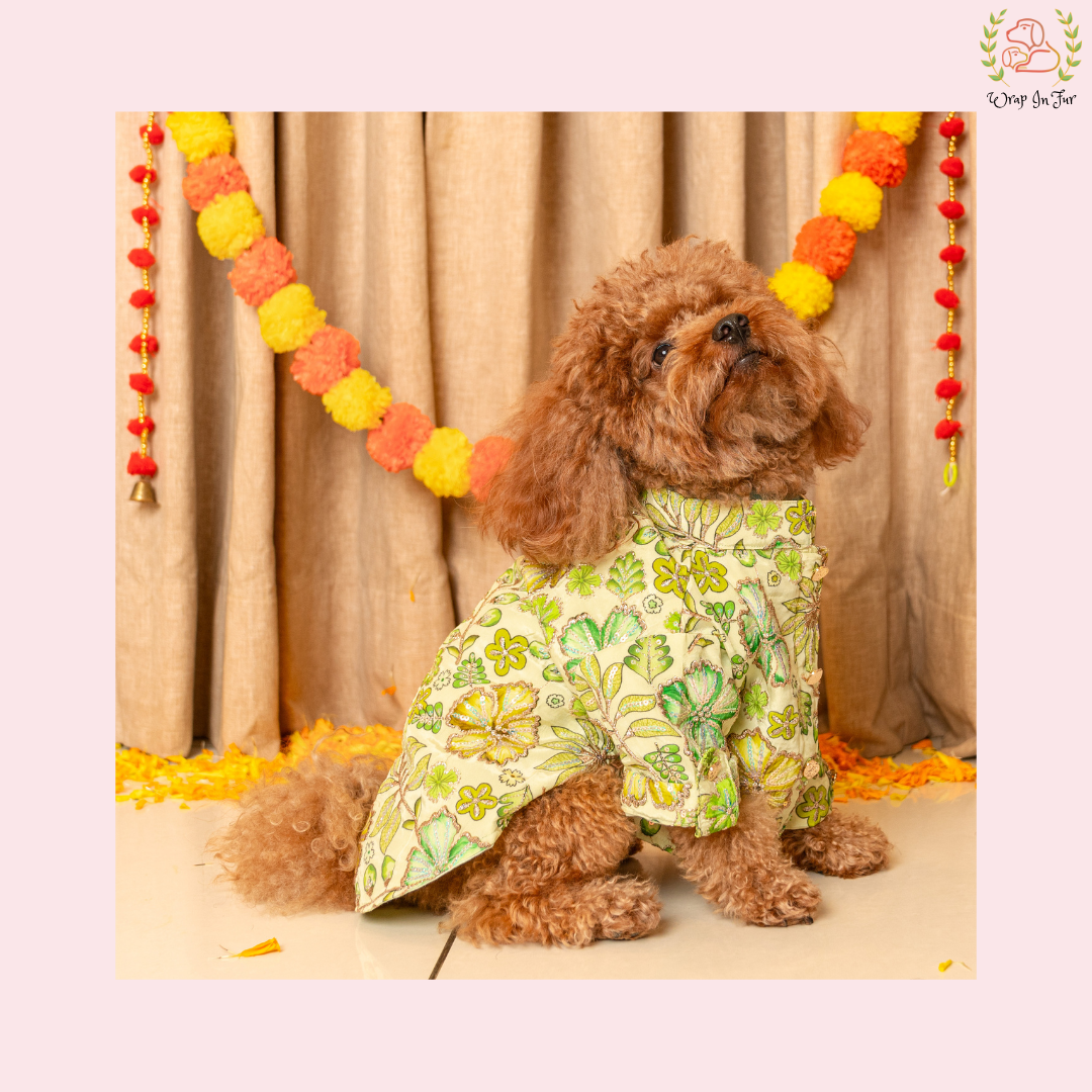 Minty Floral Dog Kurta