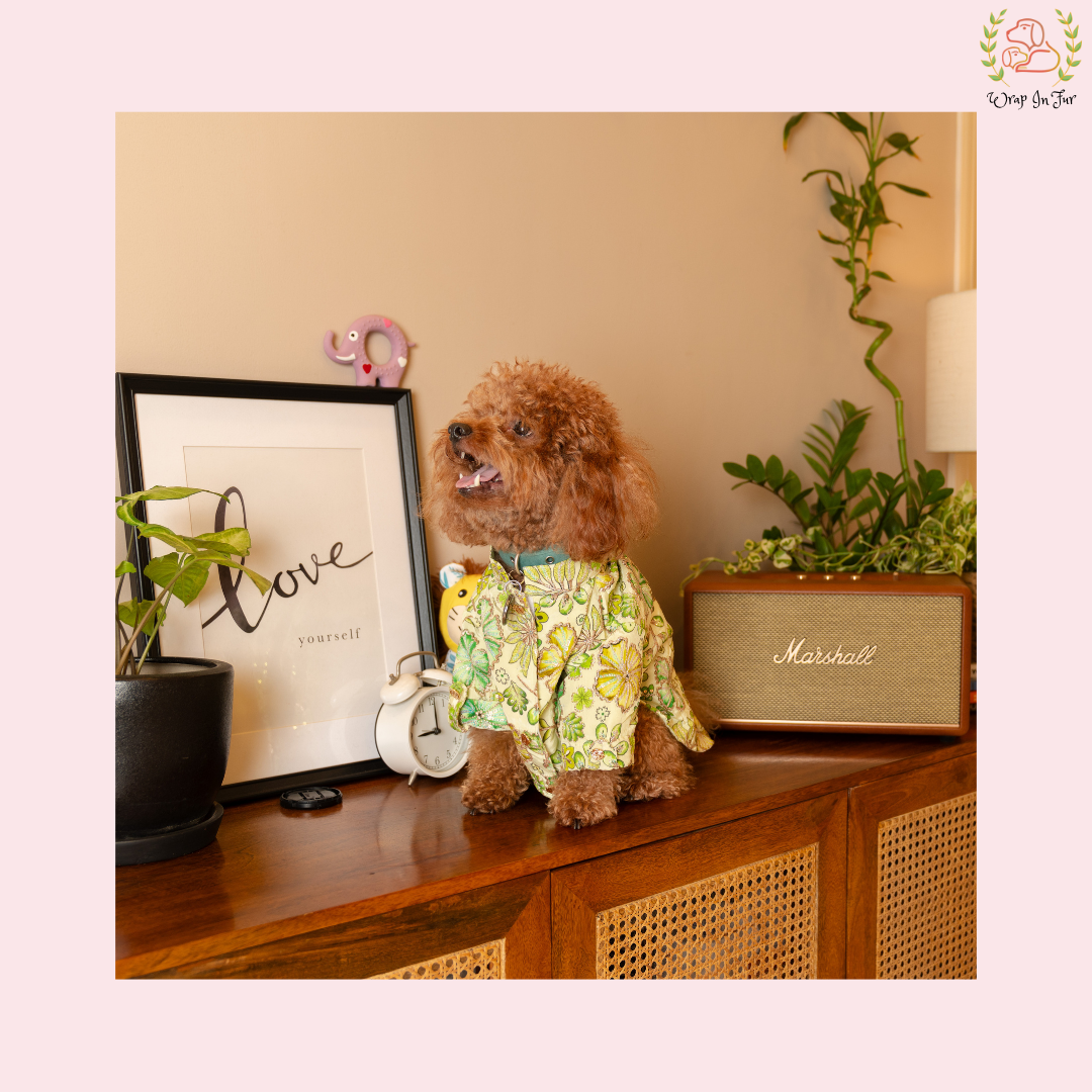 Minty Floral Dog Kurta