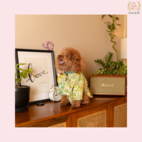 Minty Floral Dog Kurta - Royal Indian Dog Ethnic Wear Dress