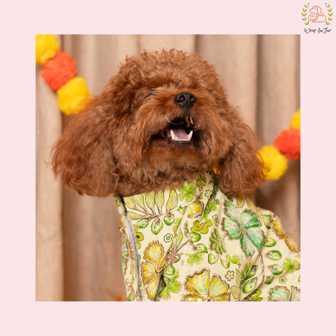 Minty Floral Dog Kurta - Royal Indian Dog Ethnic Wear Dress