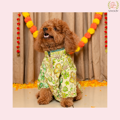 Minty Floral Dog Kurta - Royal Indian Dog Ethnic Wear Dress