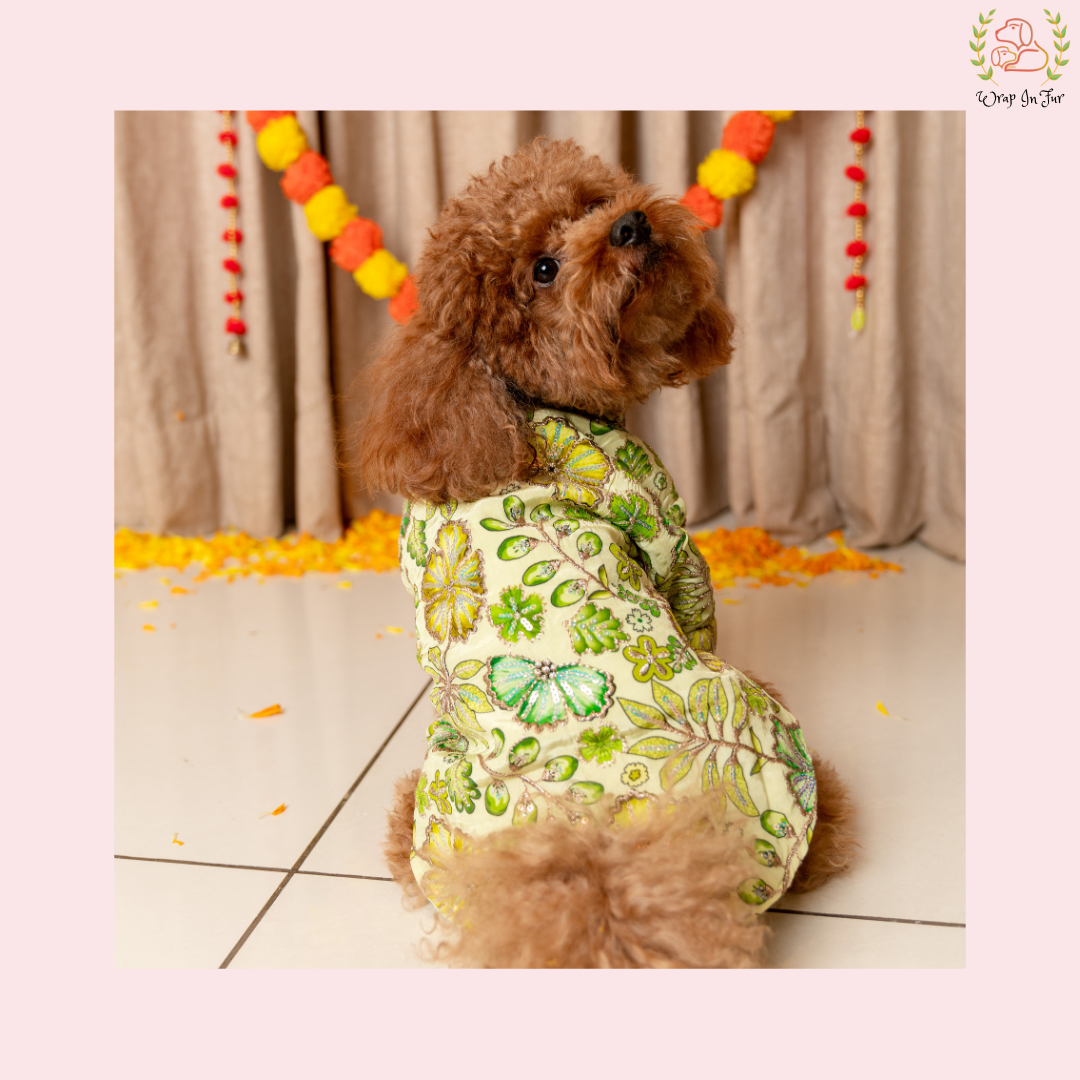 Minty Floral Dog Kurta - Royal Indian Dog Ethnic Wear Dress