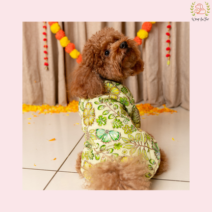Minty Floral Dog Kurta - Royal Indian Dog Ethnic Wear Dress