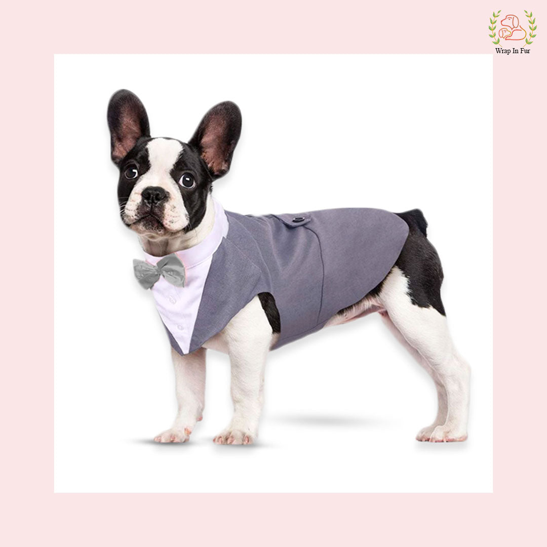 Modern Grey Dog Tuxedo Cape - Formal Wedding Vest Suit