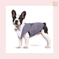 Modern Grey Dog Tuxedo Cape - Formal Wedding Vest Suit