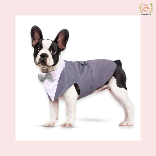 Modern Grey Dog Tuxedo Cape - Formal Wedding Vest Suit