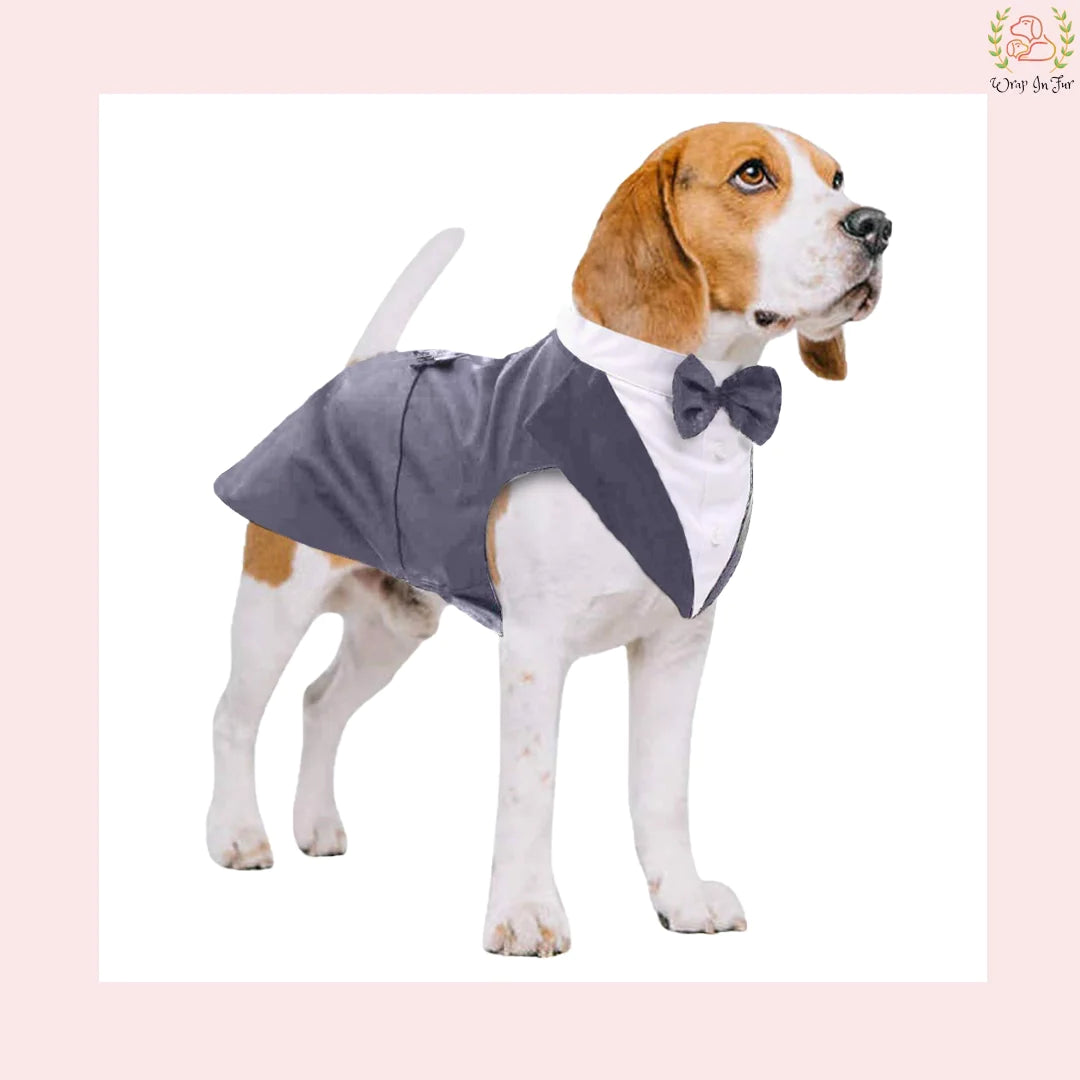 Modern Grey Dog Tuxedo Cape - Formal Wedding Vest Suit