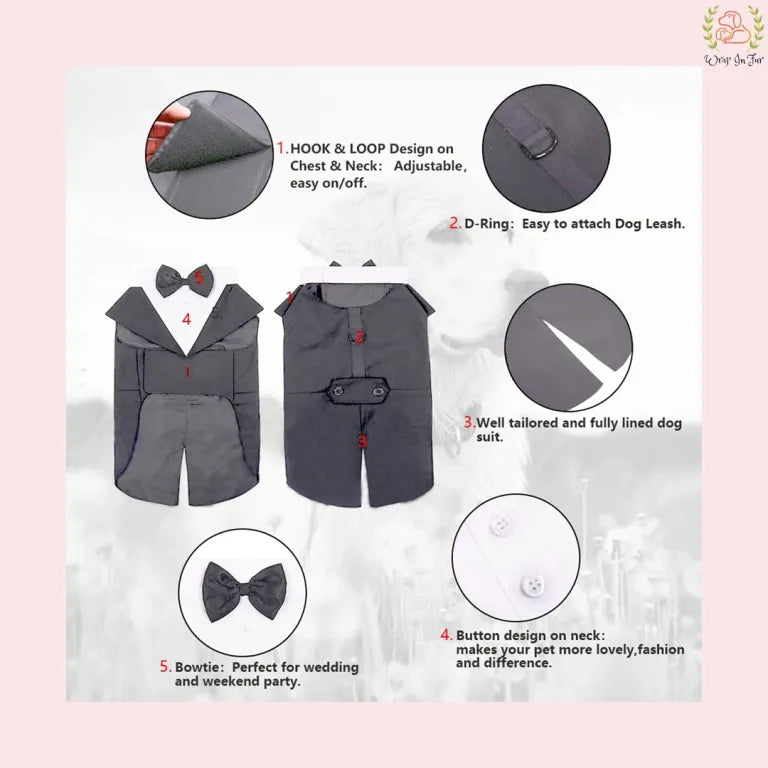 Modern Grey Dog Tuxedo Cape - Formal Wedding Vest Suit