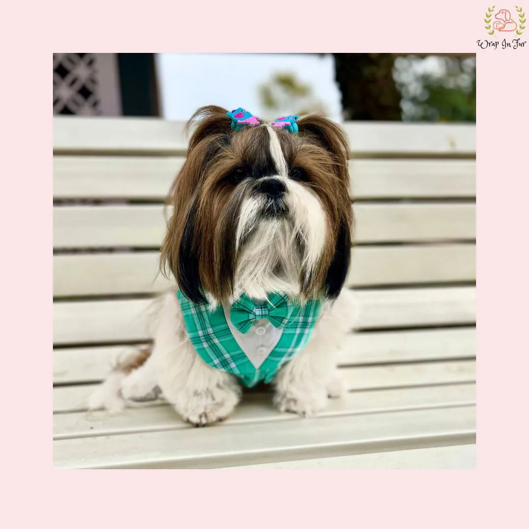 Modern Sky Blue Plaid Dog Tuxedo Vest - Formal Wedding Suit