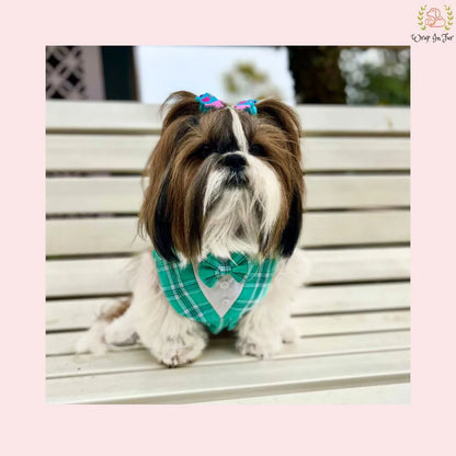 Modern Sky Blue Plaid Dog Tuxedo Vest - Formal Wedding Suit