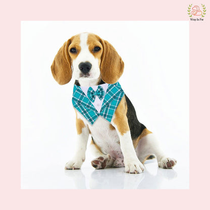 Modern Sky Plaid Tuxedo Style Dog Bandana - Wedding Accessory