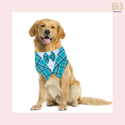 Modern Sky Plaid Tuxedo Style Dog Bandana - Wedding Accessory