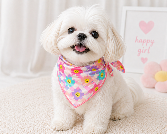 Multicolor Smiley Dog Bandana