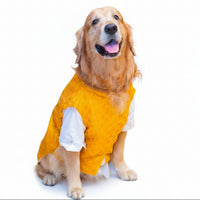 Mustard Yellow Jacket Dog Kurta Set 