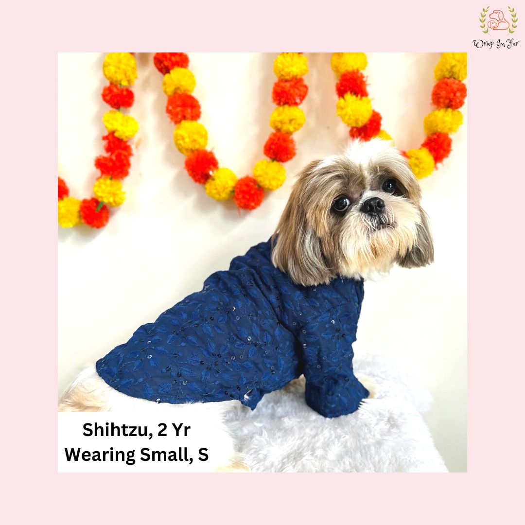 Navy Blue Chikankari Dog Kurta - Premium Indian Dog Ethnic Wear