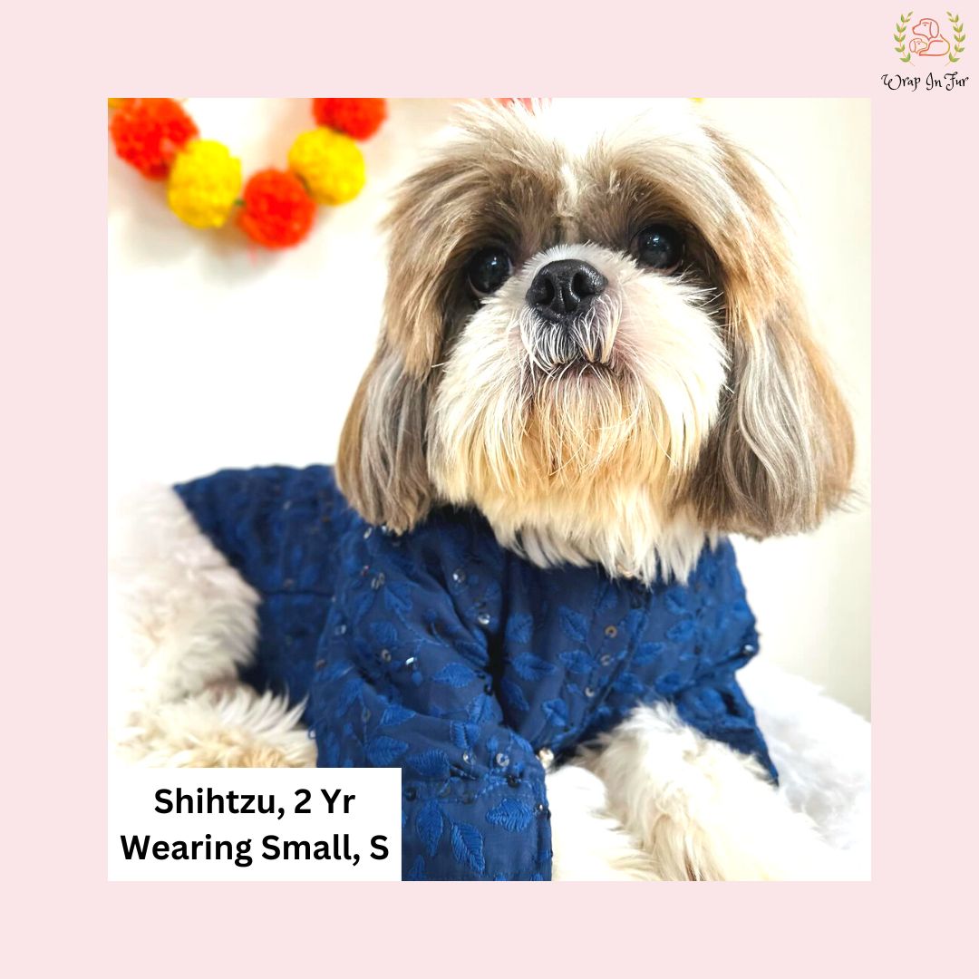 Navy Blue Chikankari Dog Kurta - Premium Indian Dog Ethnic Wear