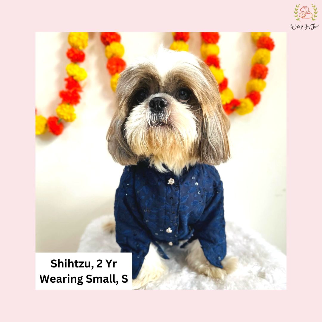 Navy Blue Chikankari Dog Kurta - Premium Indian Dog Ethnic Wear