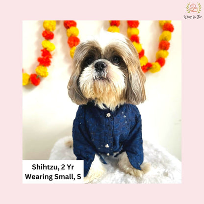 Navy Blue Chikankari Dog Kurta - Premium Indian Dog Ethnic Wear