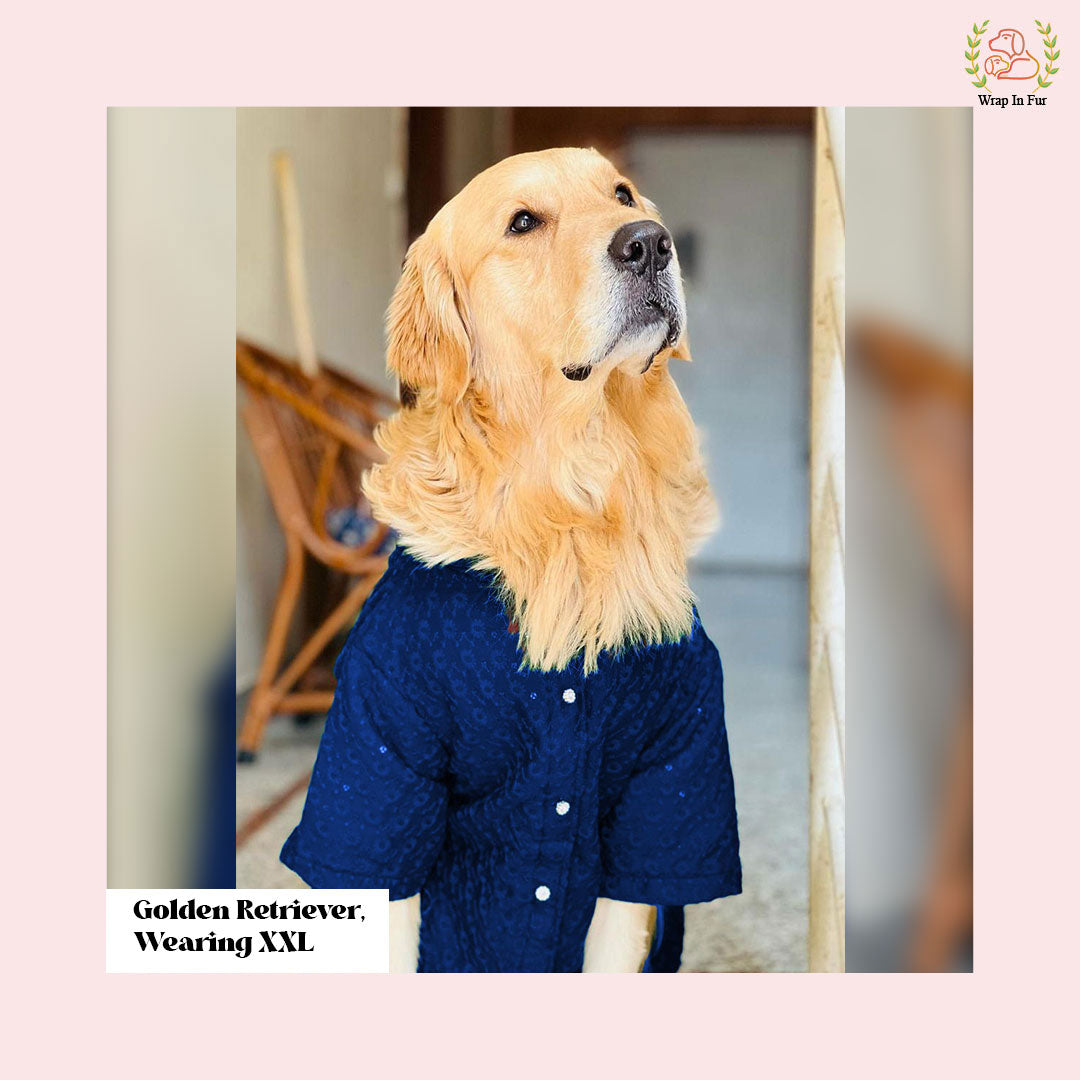 Navy Blue Chikankari Dog Kurta - Premium Indian Dog Ethnic Wear