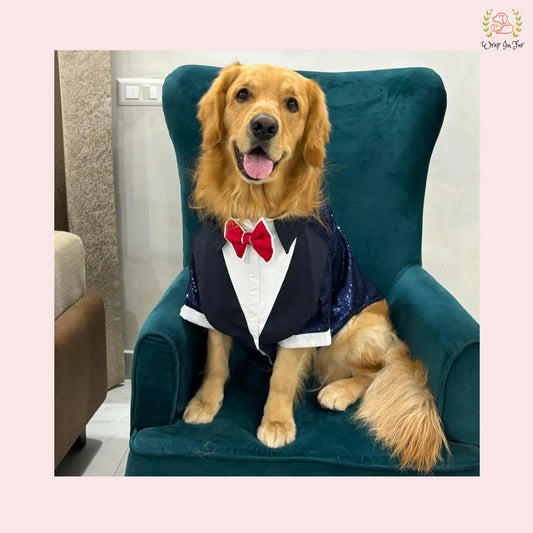 Navy Blue Sequin Dog Tuxedo Jacket - Glamorous Wedding Formal Suit