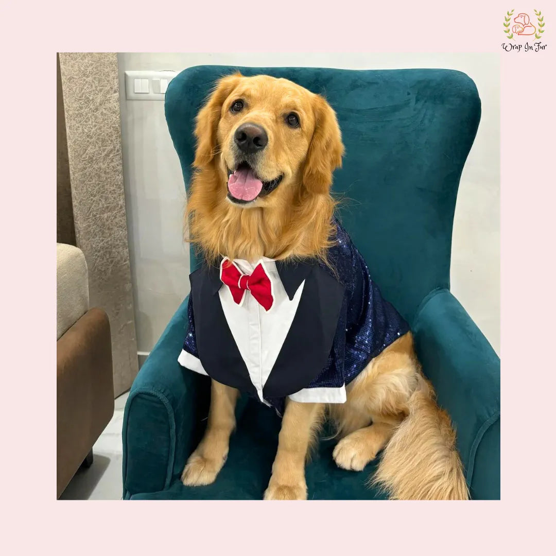 Navy Blue Sequin Dog Tuxedo Jacket | Glamorous Wedding Suit XXL Navy Blue Sequin Dog Tuxedo Jacket | Glamorous Wedding Suit XXL