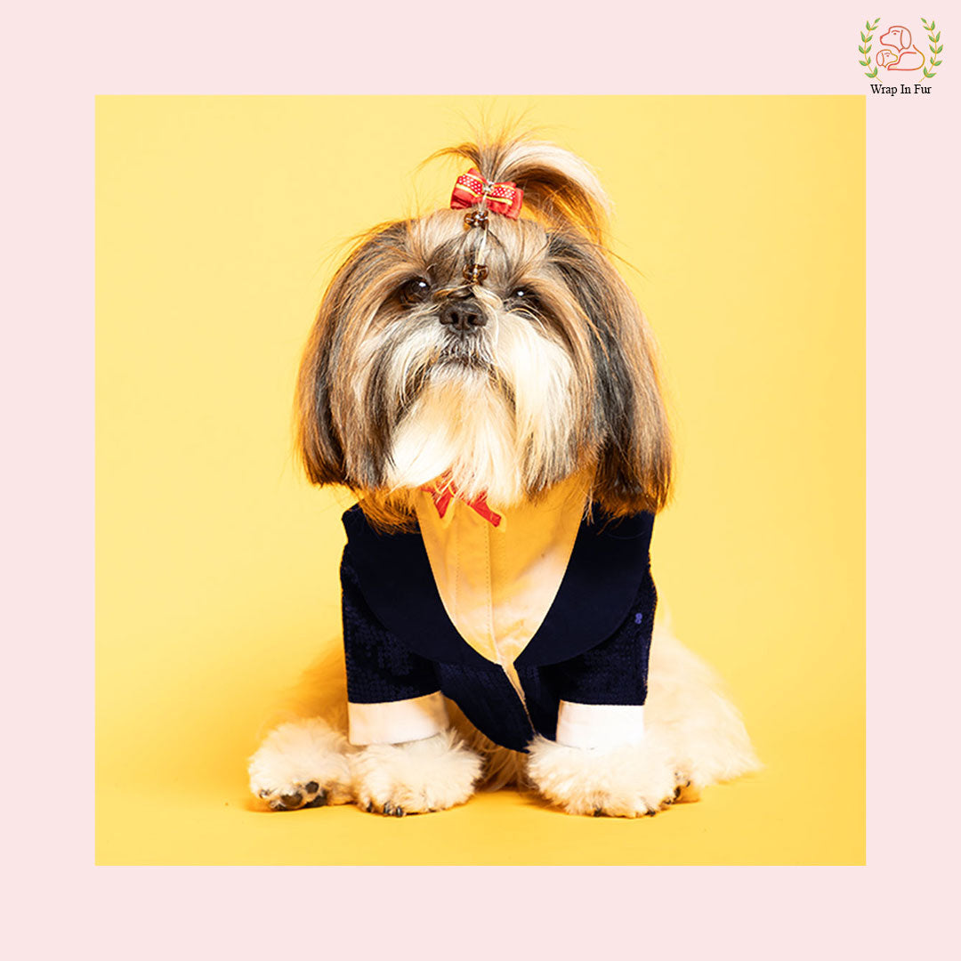 Navy Blue Sequin Dog Tuxedo Jacket - Glamorous Wedding Formal Suit