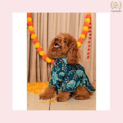 Neel Pushp Dog Kurta - Royal Teal Indian Dog Ethnic Wear Dress