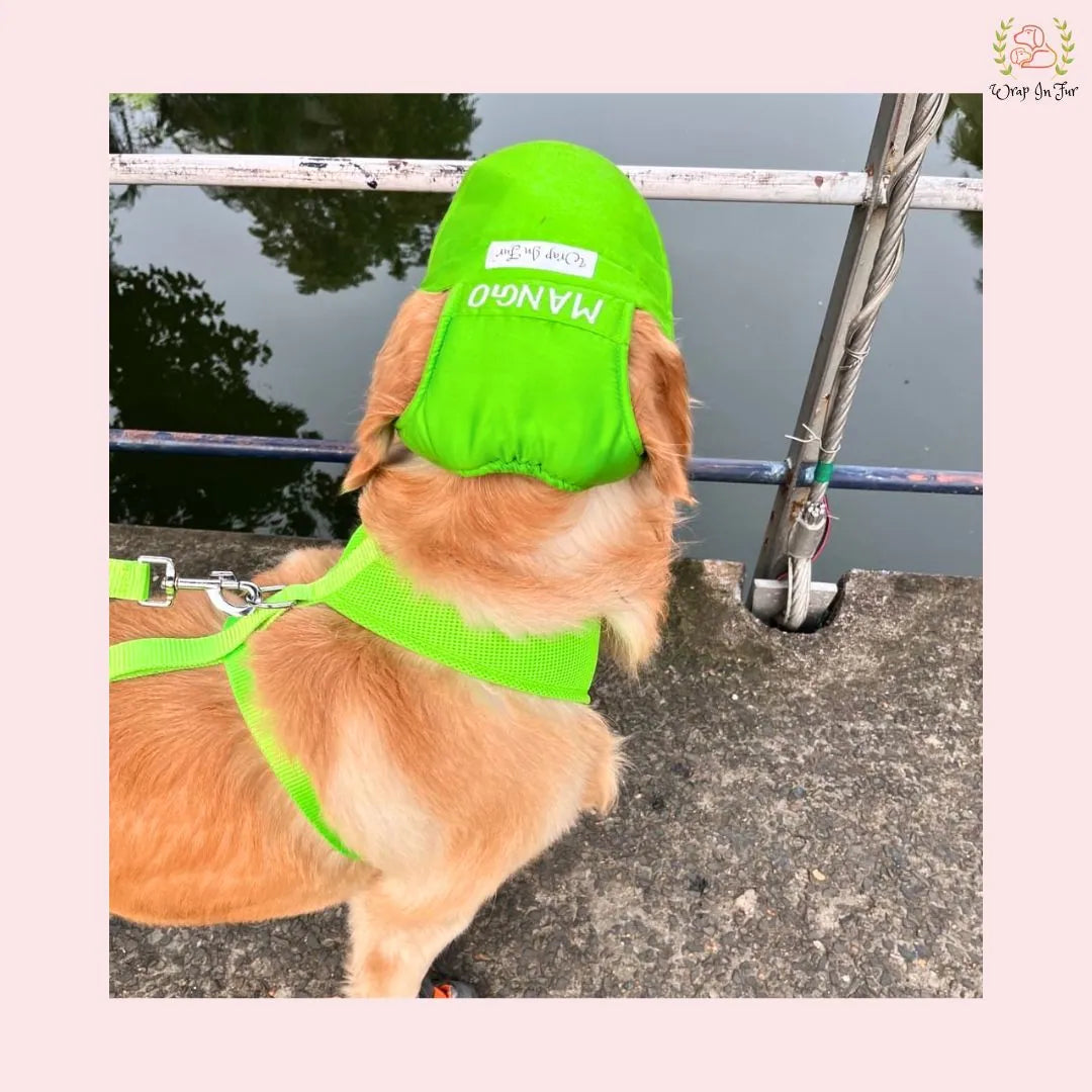 neon green personalised dog cap for big dog