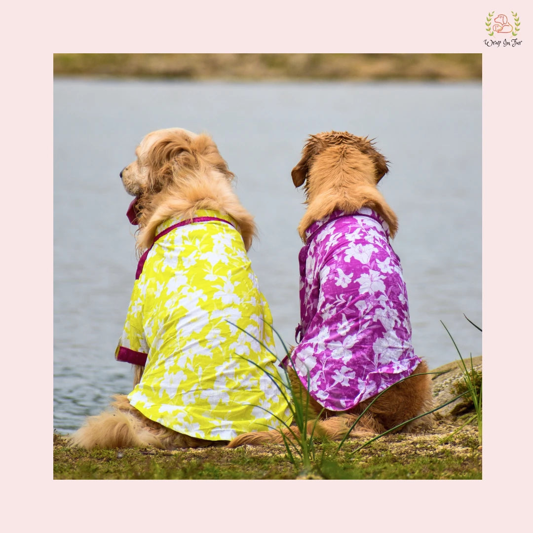 Neon Lime Pathani Dog Kurta Shirt - Modern Indian Dog Ethnic Wear