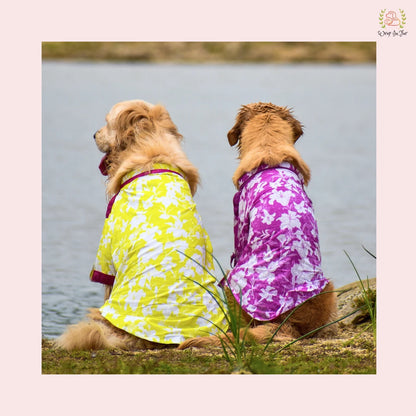 Neon Lime Pathani Dog Kurta Shirt - Modern Indian Dog Ethnic Wear
