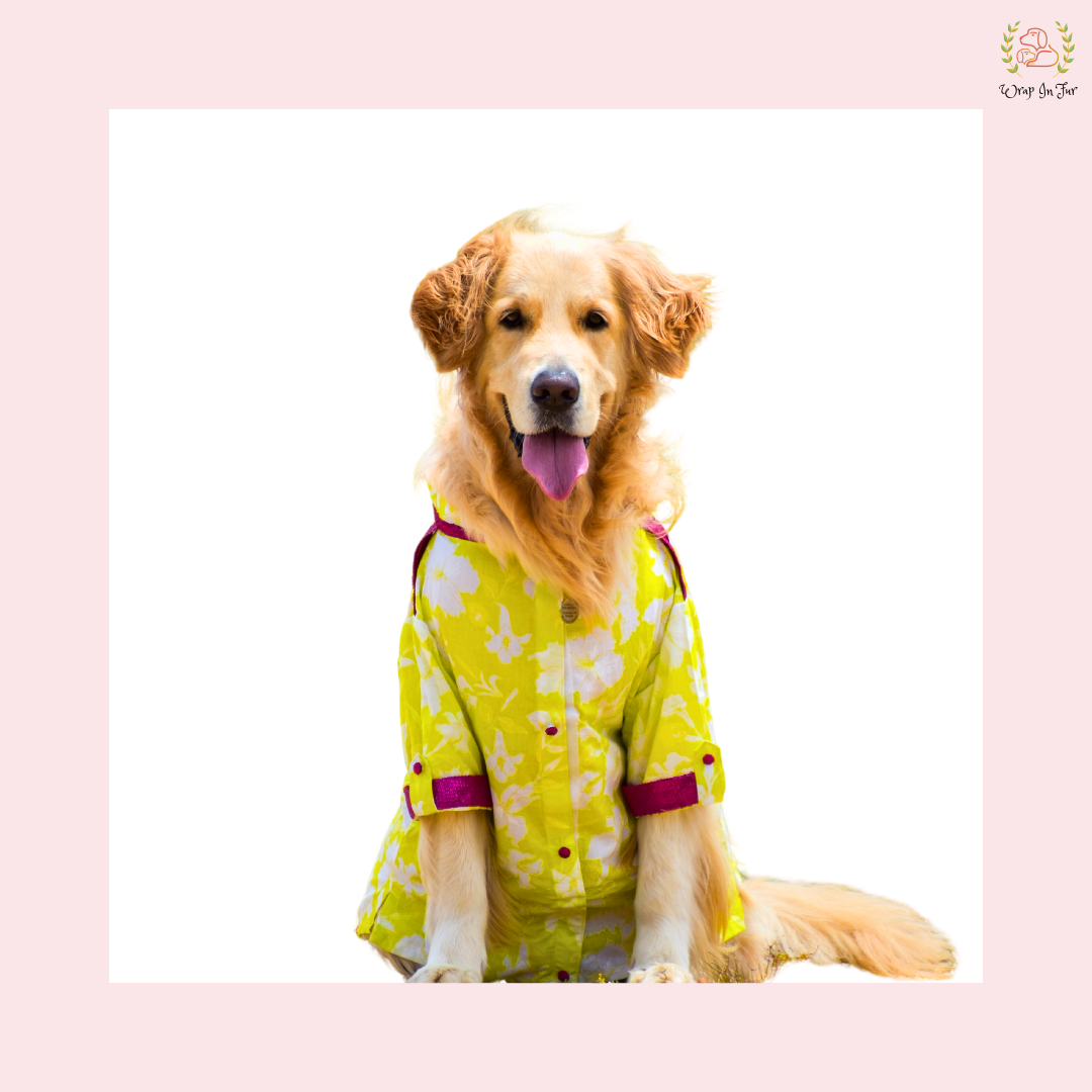 Neon Lime Pathani Dog Kurta Shirt - Modern Indian Dog Ethnic Wear