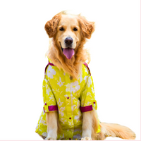 Neon Lime Pathani Dog Kurta Shirt - Modern Indian Dog Ethnic Wear