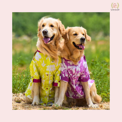 Neon Lime Pathani Dog Kurta Shirt - Modern Indian Dog Ethnic Wear