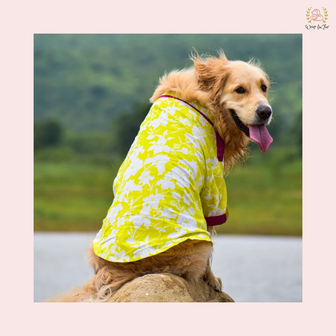 Neon Lime Pathani Dog Kurta Shirt - Modern Indian Dog Ethnic Wear