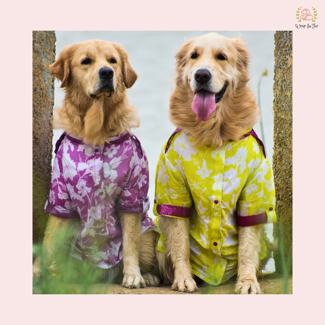 Neon Lime Pathani Dog Kurta Shirt - Modern Indian Dog Ethnic Wear