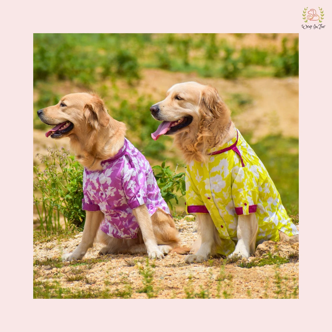 Neon Lime Pathani Dog Kurta Shirt - Modern Indian Dog Ethnic Wear
