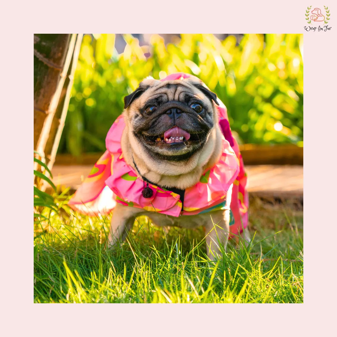 Neon Pink Brocade Dog Princess Dress - Festive Party Frock