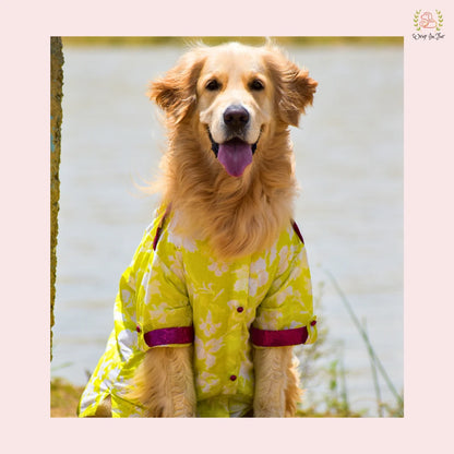 Neon Pathani Dog Kurta