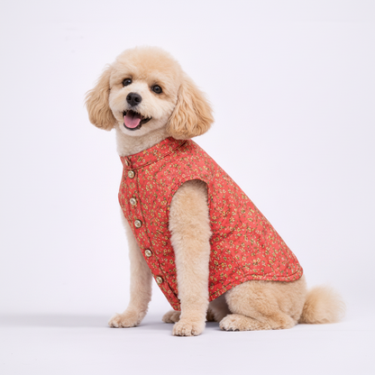 Pastel Red Dog Sherwani
