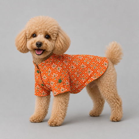 Orange Patola Dog Kurta