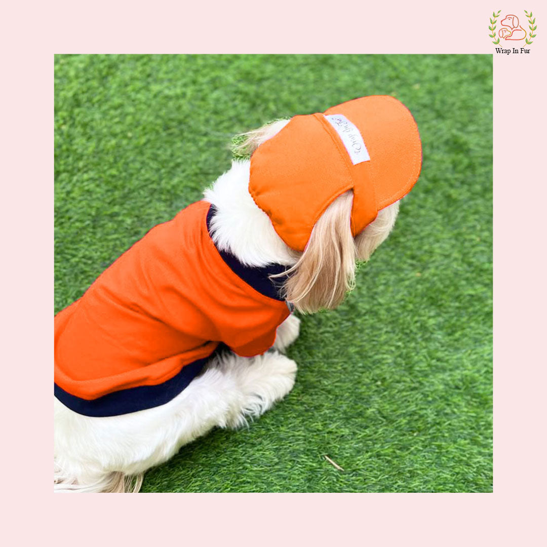 Orange Polo T-Shirt for dog