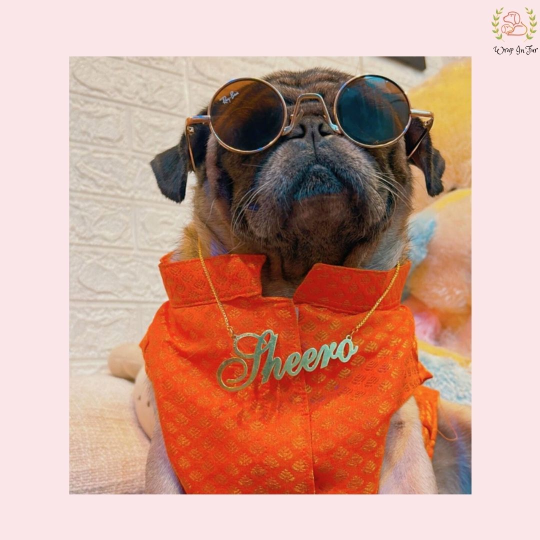 Orange Dog Sherwani 