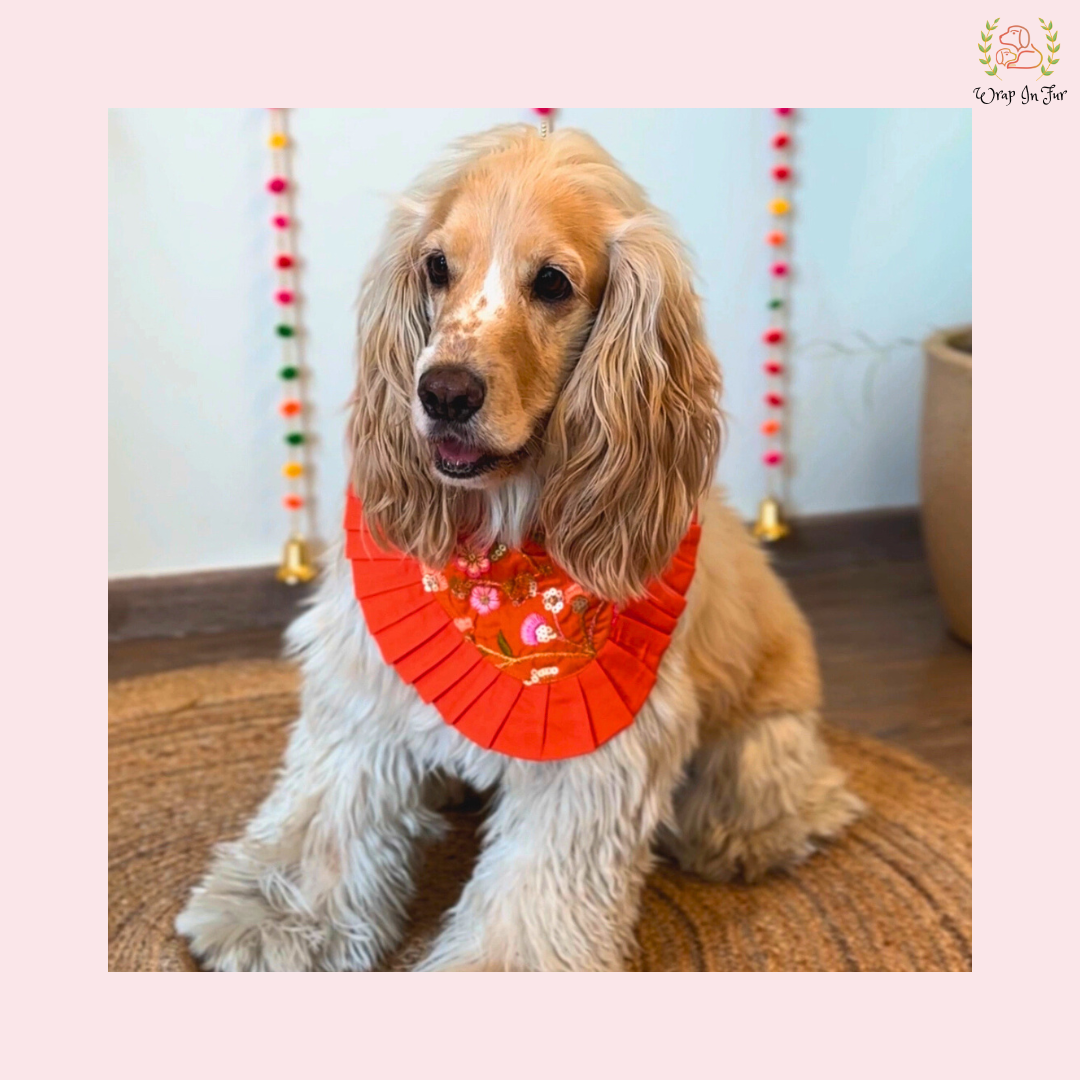 Orange Floral Dog Bandana