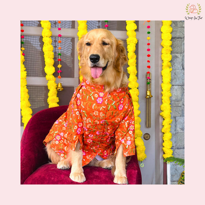 Orange Floral Embroidered Dog Kurta - Premium Indian Dog Ethnic Wear Dress
