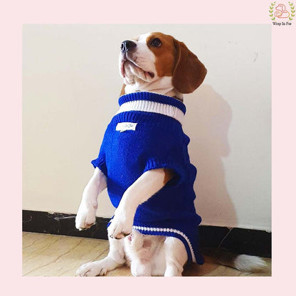 Orange Glow Dog Sweater – Warm & Cozy Solid Knit