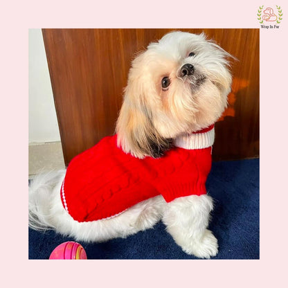 Orange Glow Dog Sweater – Warm & Cozy Solid Knit